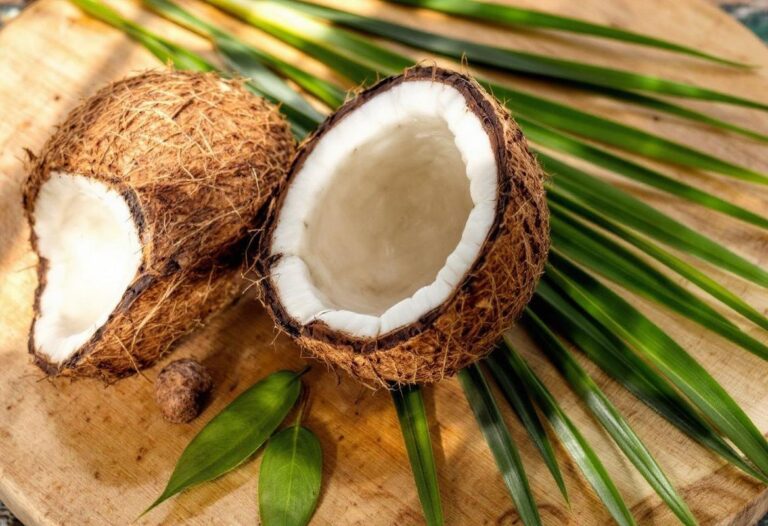 Huile de coco pour le bronzage - Mythe ou réalité ?